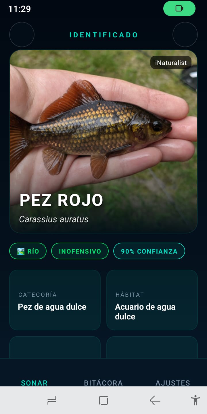 Fish of Type